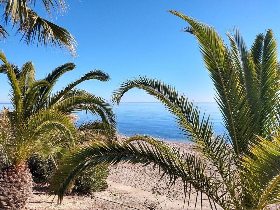 Ola Laguna Beach Vera Playa المظهر الخارجي الصورة